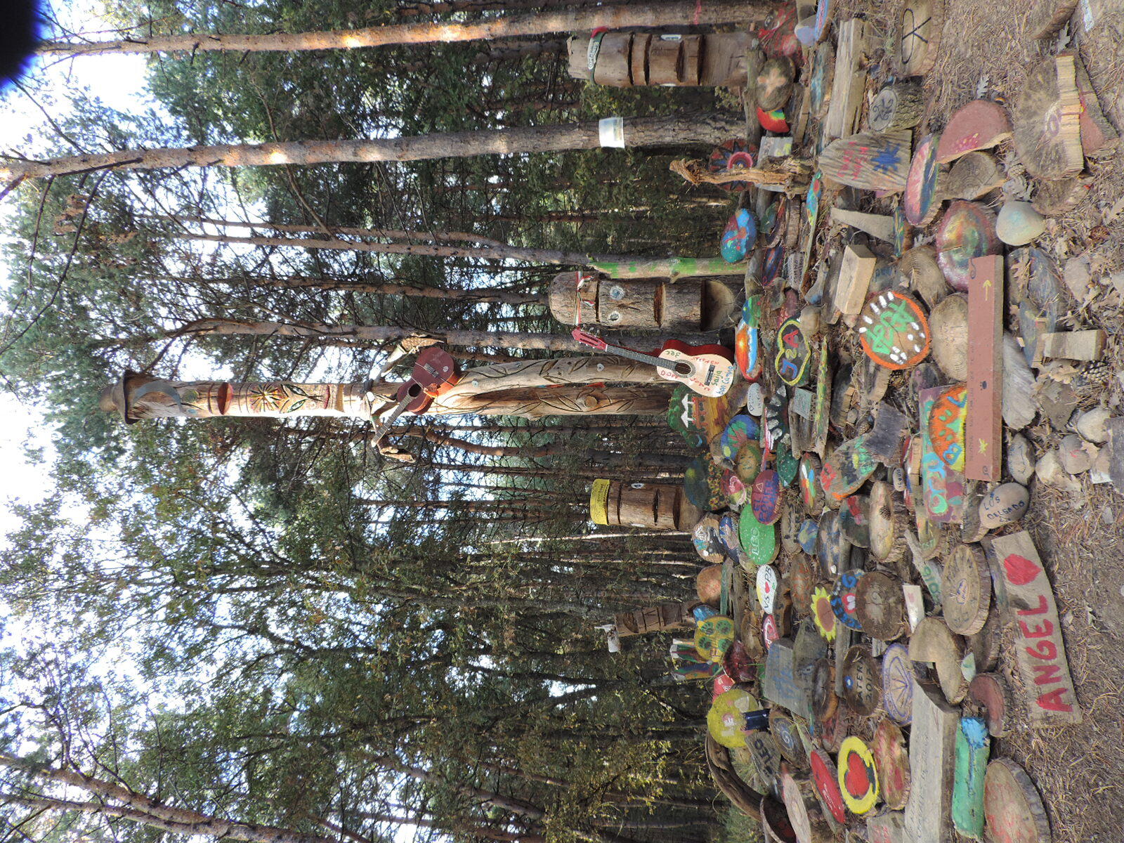 El bosque de los recuerdos