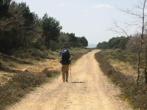Etapa I: de Redecilla del Camino a Villafranca Montes de Oca